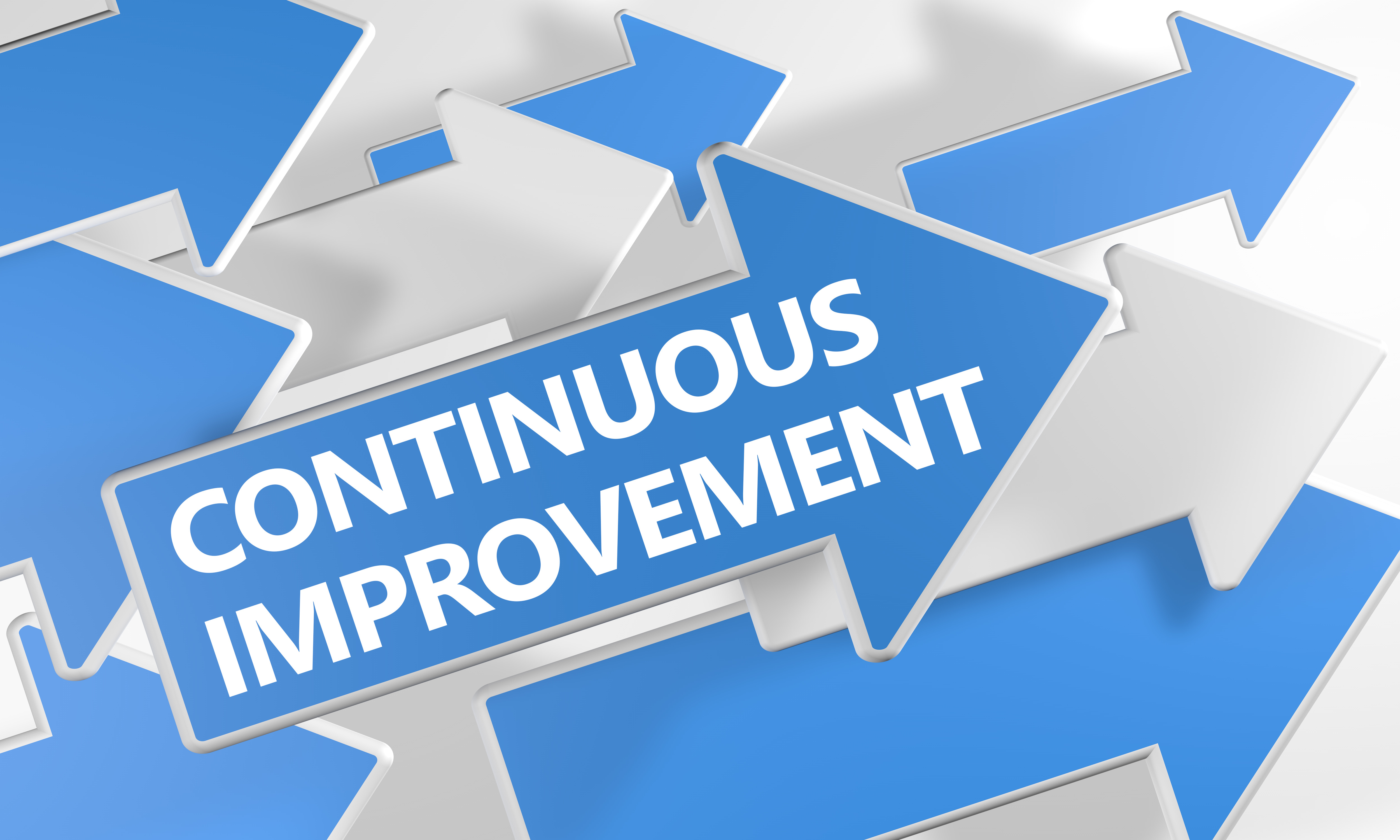 Continuous Improvement Survey Leading Edge Group
